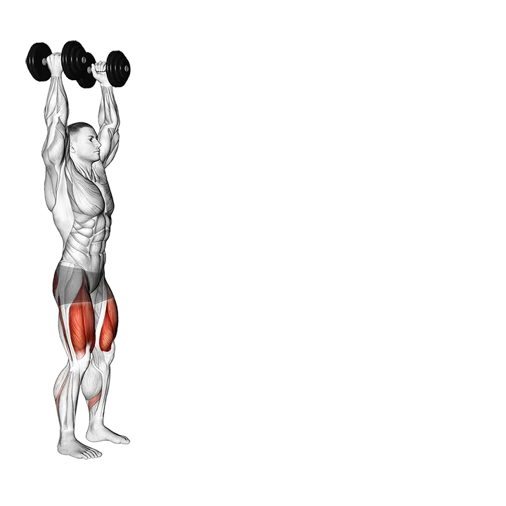 Dumbbell Overhead Walking Lunge exercise animation (Male)