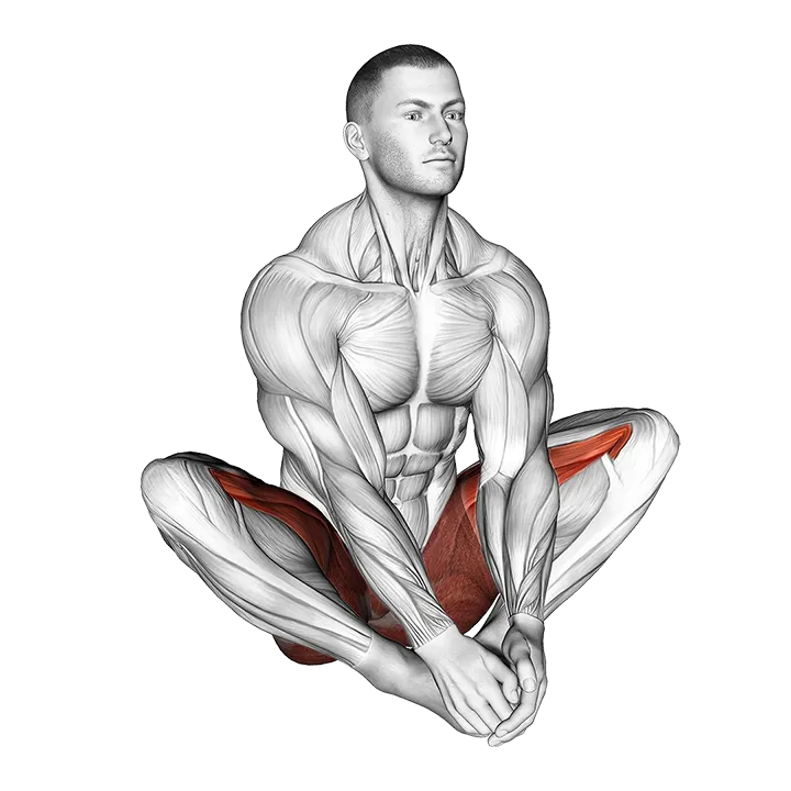 Butterfly Yoga Flaps exercise animation (Male)