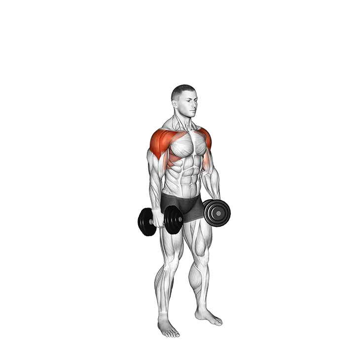 Dumbbell 6 Ways Raise exercise animation (Male)