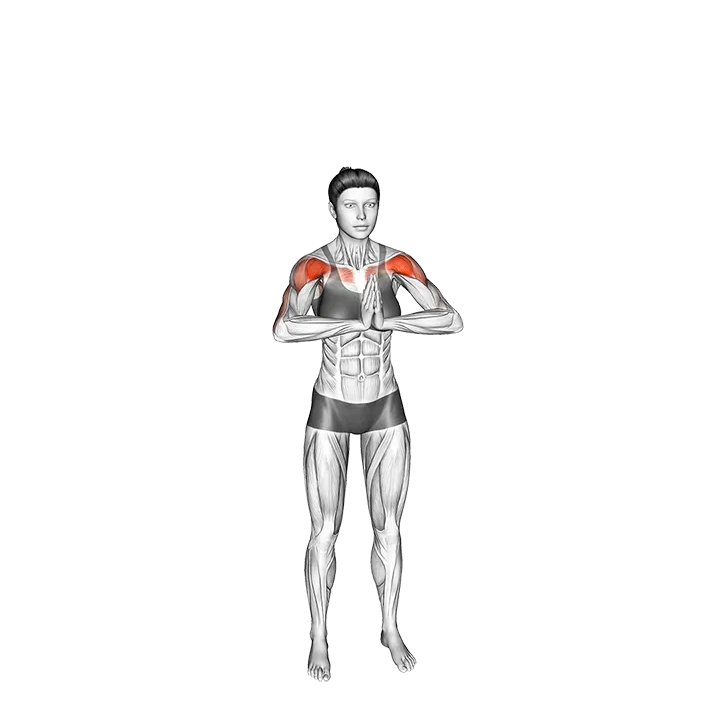 Prayer Push exercise animation (Mujer)