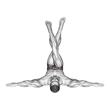Lying Criss-Cross Legs