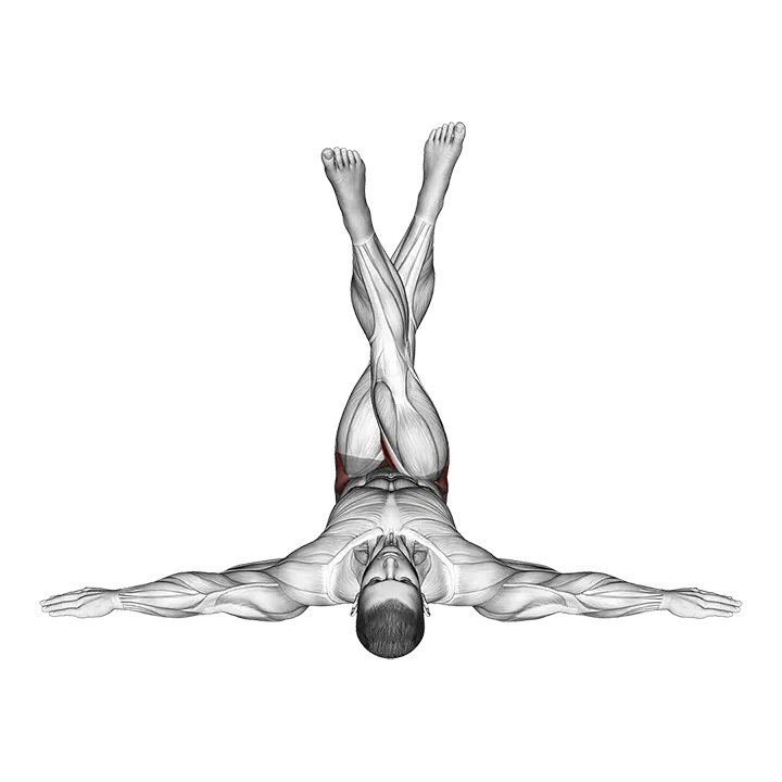 Lying Criss-Cross Legs exercise animation (Male)