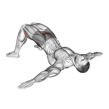Bridge Hip Abduction