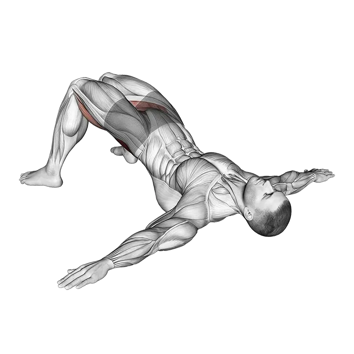 Bridge Hip Abduction exercise animation (Male)