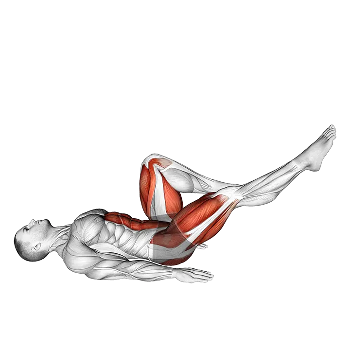 Lying Air Cycles exercise animation (Male)