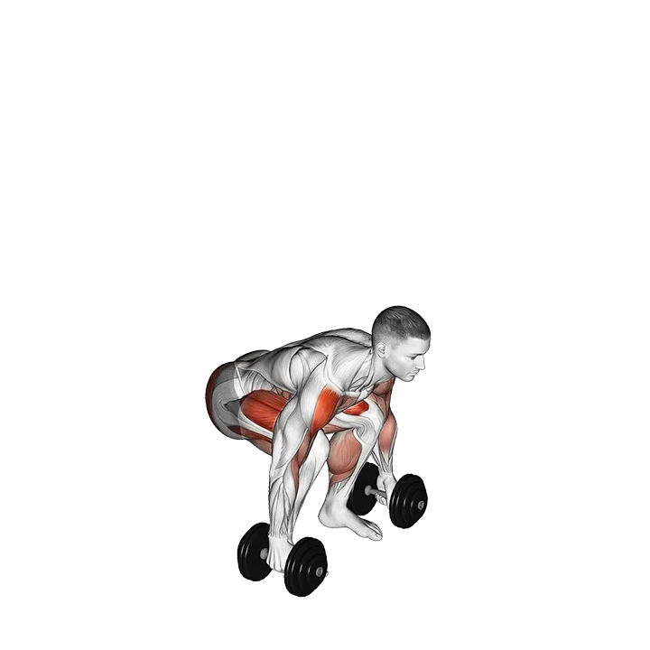 Dumbbell Power Clean exercise animation (Male)