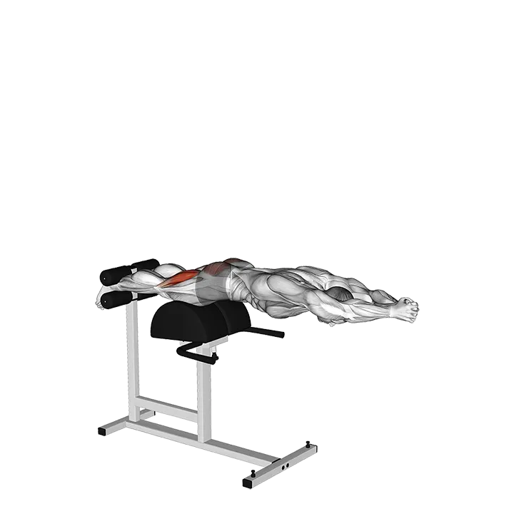Glute Ham Raise with Extended Arms exercise animation (Male)