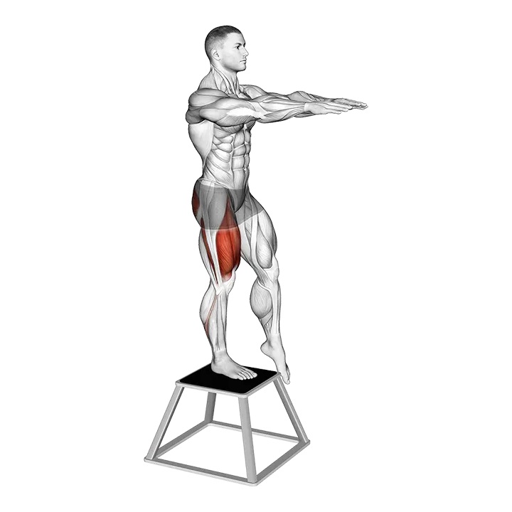 Elevated Single Leg Squat exercise animation (Male)
