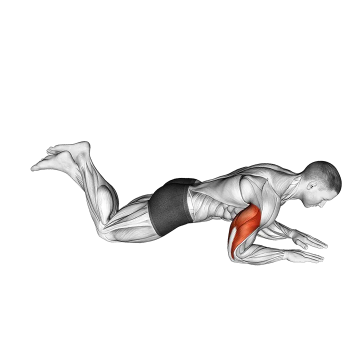 Kneeling Half Triceps Extension exercise animation (Male)