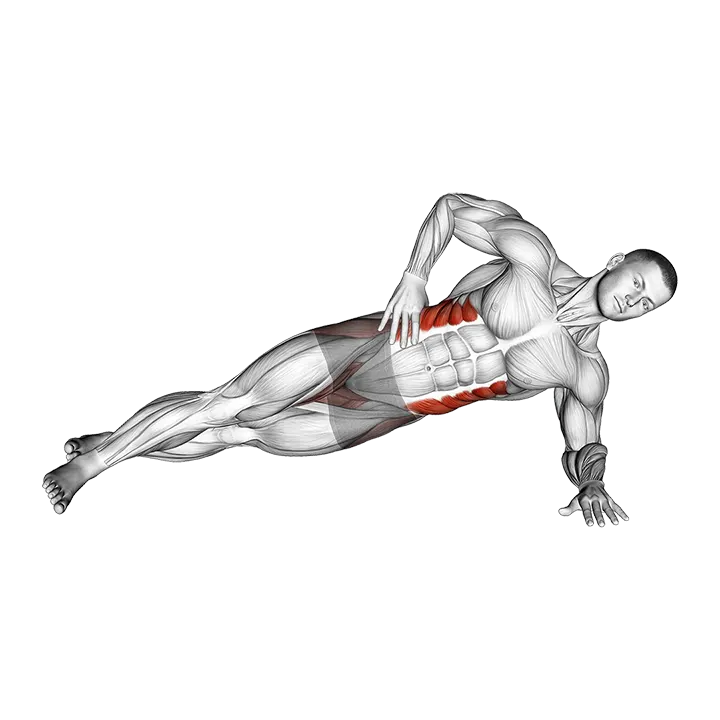 Staggered Leg Side Bridge exercise animation (Male)