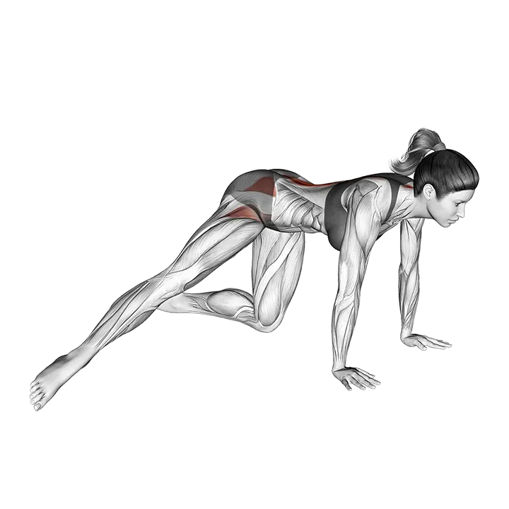 Kneeling Straight Leg Side Kick )female) exercise animation (Female)