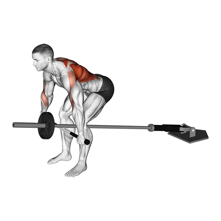 Lever Bent over Wide Row (plate loaded) exercise animation (Male)