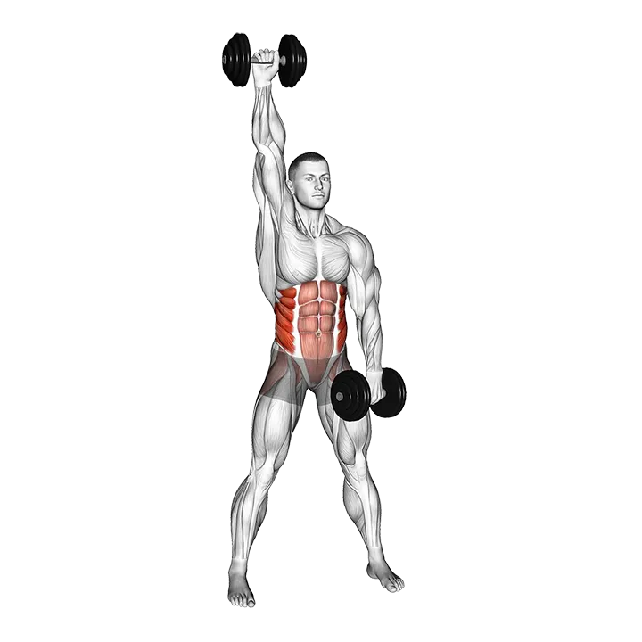Dumbbell Standing Windmill exercise animation (Male)