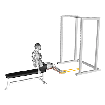 Resistance Band Seated Leg Curl