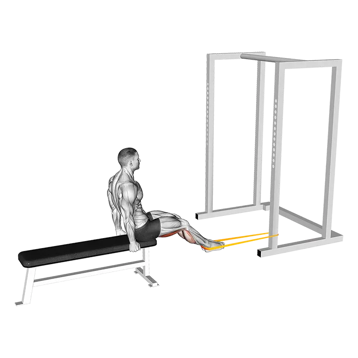 Resistance Band Seated Leg Curl exercise animation (Male)