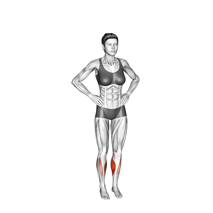 Toe Jump exercise animation (Female)