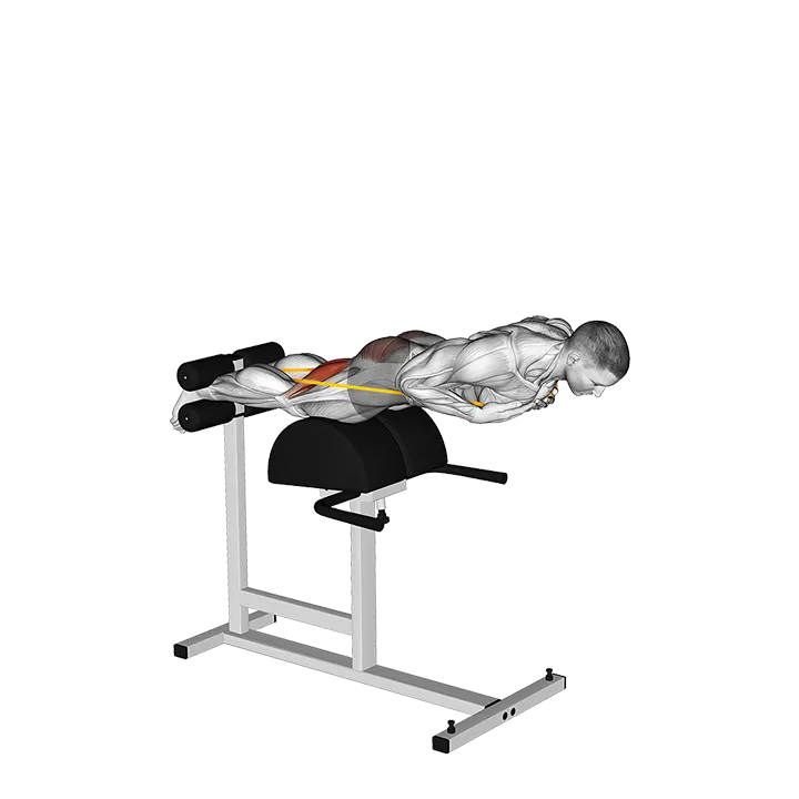 Banded Glute Ham Raise (VERSION 3) exercise animation (Male)