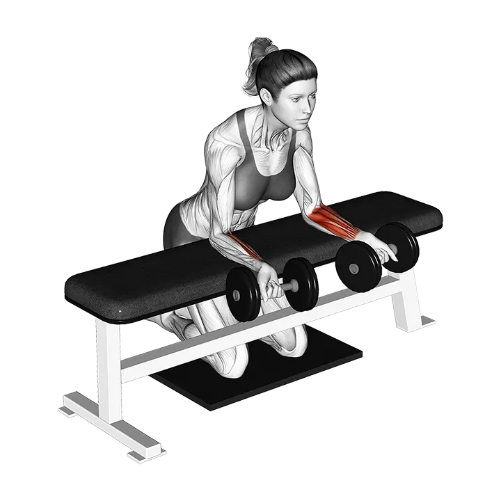 Dumbbell Over Bench Revers Wrist Curl with Mat exercise animation (Female)