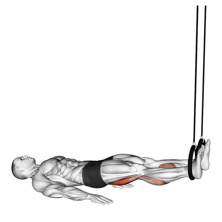 Ring Leg Curl (VERSION 2) exercise animation (Male)