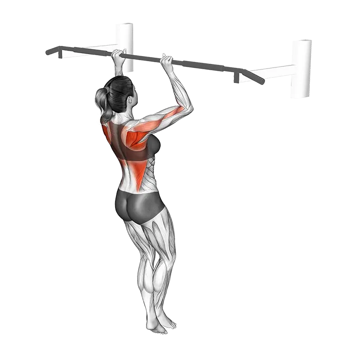 Narrow Top Half Pull-up exercise animation (Female)