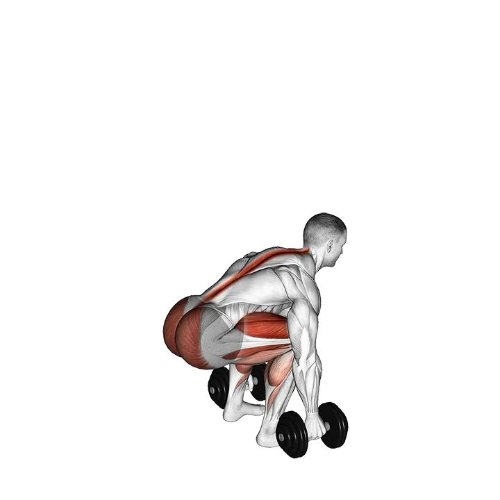 Dumbbell Deadlift (neutral grip) exercise animation (Male)