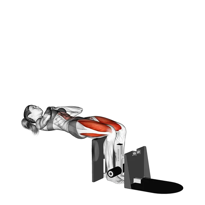 Reverse Leg Extension exercise animation (Female)