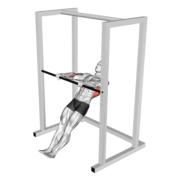 High Bar Inverted Row exercise animation (Male)