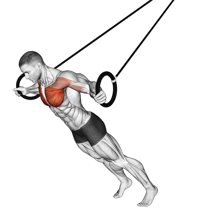 Ring Chest Fly exercise animation (Male)