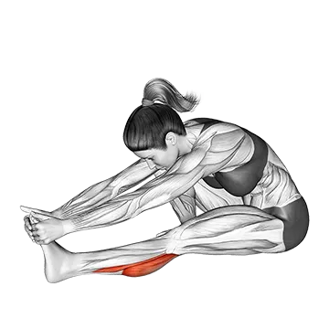 Seated Calf Stretch (Version 2)
