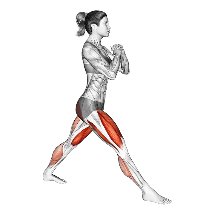Lunge Stretch exercise animation (Female)