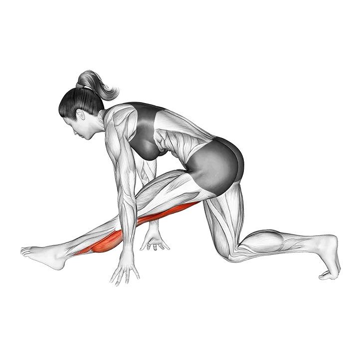 Single Leg Calve Stretch exercise animation (Mujer)