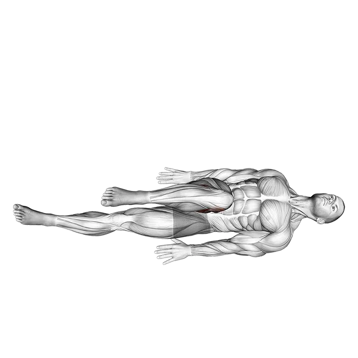 Lying Bent Knee Figure 8 exercise animation (Male)