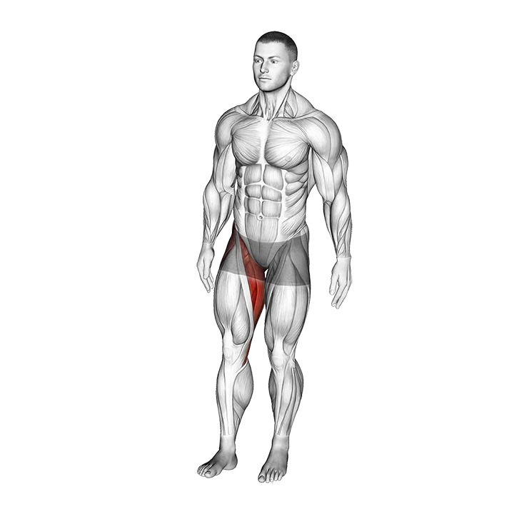 Standing Leg Circle exercise animation (Male)