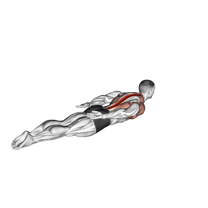 Around the World Superman exercise animation (Male)