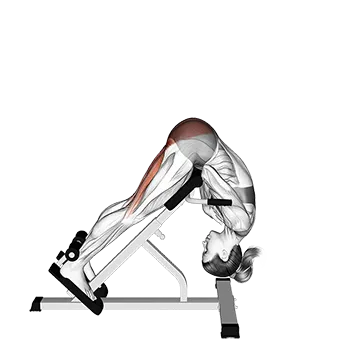 45 Degree Hip Extension Glute Focused