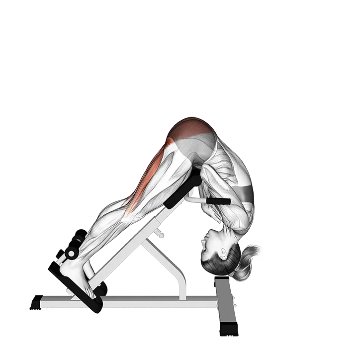 45 Degree Hip Extension Glute Focused exercise animation (Female)