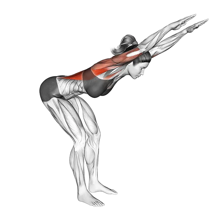 Stationary Arms Throw exercise animation (Male)