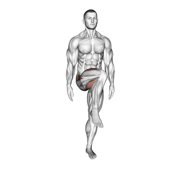 Standing Bent Knee Figure 8 exercise animation (Männlich)