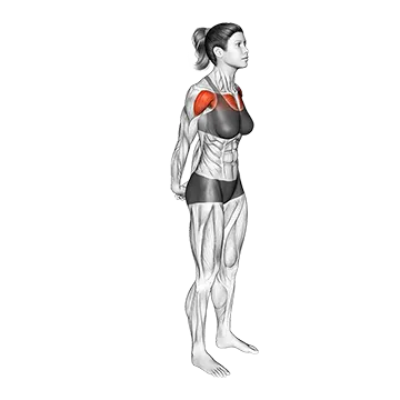 Chest Out Hands Behind (Hold)