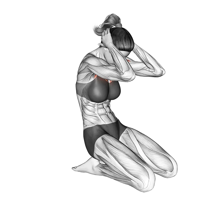 Seated Chest Clam exercise animation (Male)