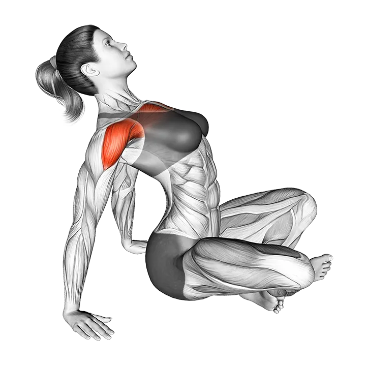 Seated Sky Look exercise animation (Male)