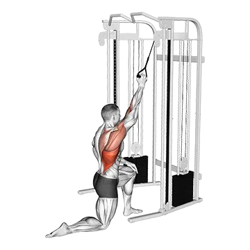 Cable Kneeling One Arm Lat Pulldown