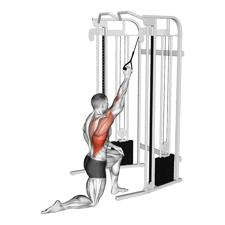 Cable Kneeling One Arm Lat Pulldown exercise animation (Hombre)
