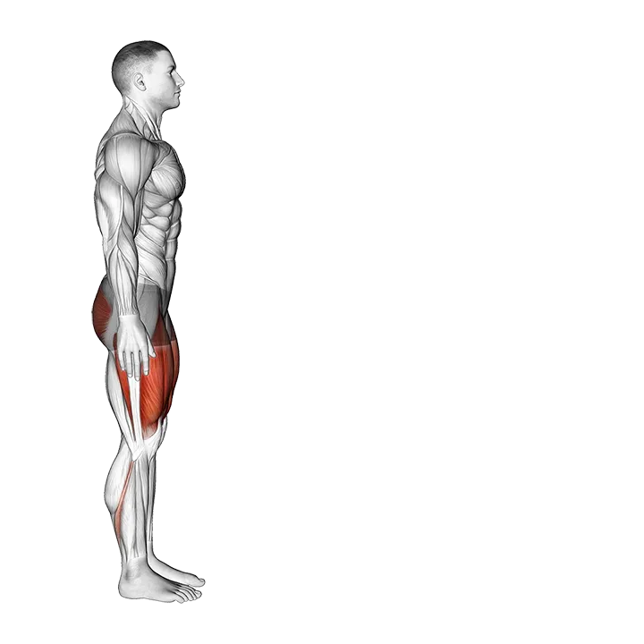 Bodyweight Forward Lunge (Hinge at Hips) exercise animation (Male)
