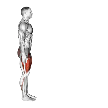 Bodyweight Forward Lunge (Smaller Stance Upright Torso)