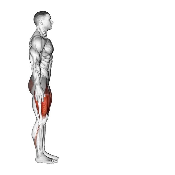 Bodyweight Forward Lunge (Smaller Stance Upright Torso) exercise animation (Male)