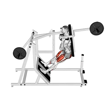 Lever Pendulum Squat (plate loaded)