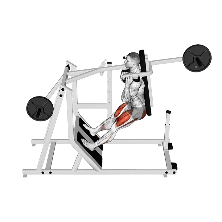 Lever Pendulum Squat (plate loaded) exercise animation (Male)