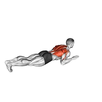 Lying Lat Pulldown