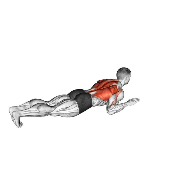 Lying Lat Pulldown exercise animation (Male)